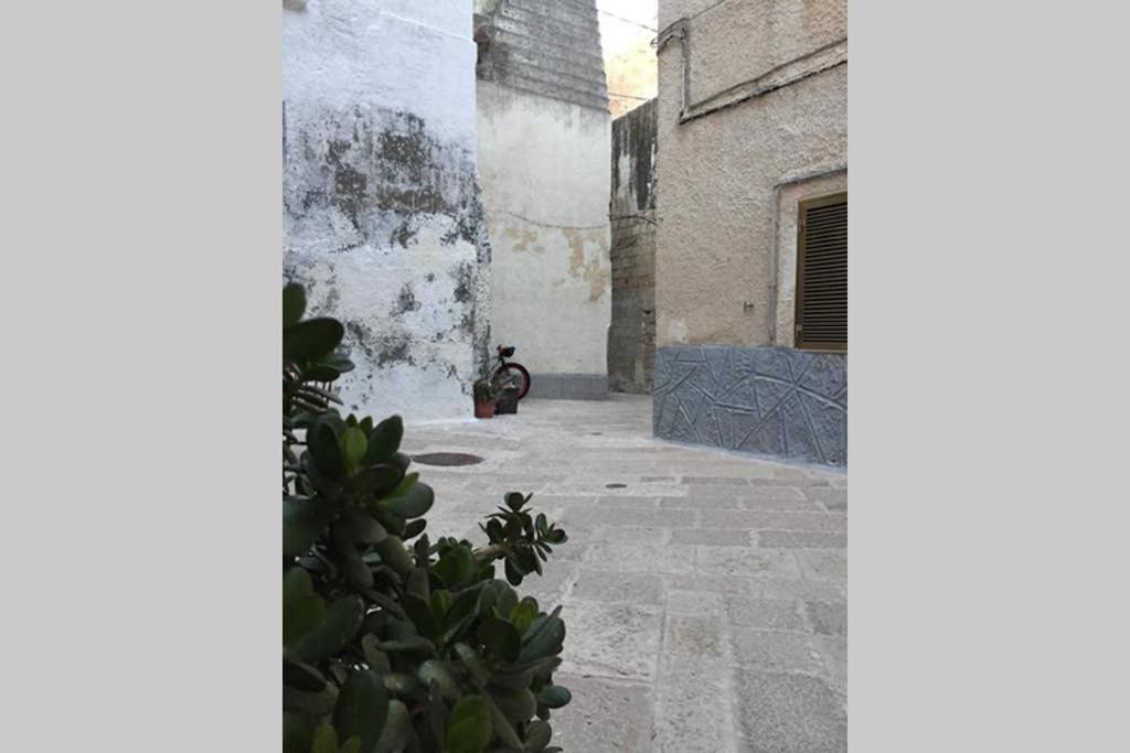 Historic Apartment In Centre Of City 100M To Sea 莫诺波利 外观 照片